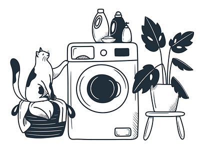 laundry washing washing machine