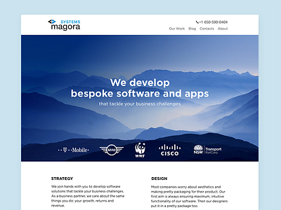 Magora Shot blue corporate design main site strategy