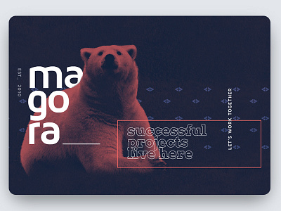 Magora Bear Shot Update about bear composition develop font site web