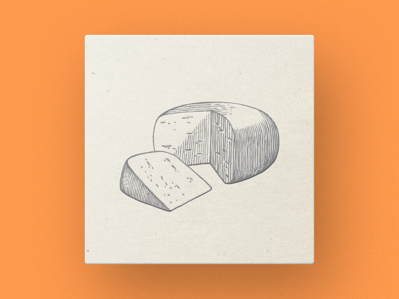 Cheese technique pencil pen paper old cheese illustrator engraving drawing piece