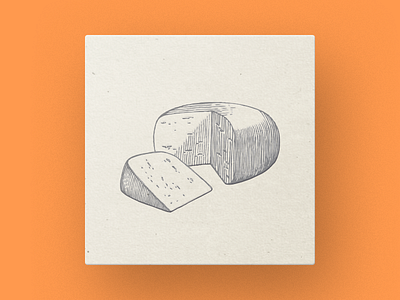 Cheese cheese drawing engraving illustrator old paper pen pencil piece technique