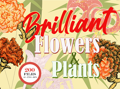Brilliant Flowers & Plants - Set of Digital Illustrations creative market design florals flowers graphic design illustration nature plants