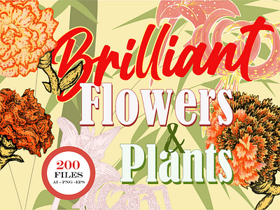 Brilliant Flowers & Plants - Set of Digital Illustrations