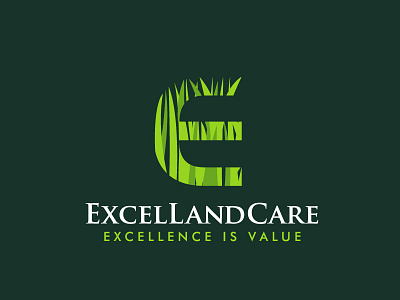 Excel care e grass lawn