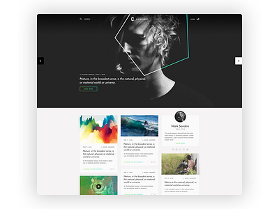 Chivalric Blog Template blog design responsive template theme themeforest wordpress