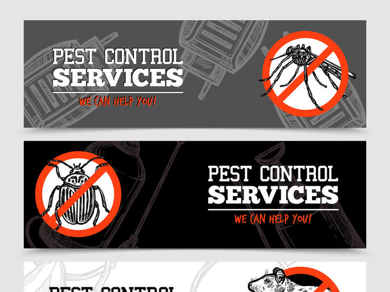 Pest Control And Prevention