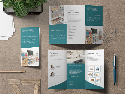Trifold Brochure Design LifeSort