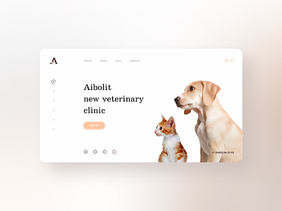 Aibolit web app design landing pet pethelp site ui ux vet veterinary