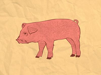 Pigglet animals domestic farm illustration oink pet pig pigglet pork vector