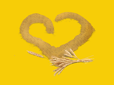 Love cattle cows ear feed food millet oats pets pigs yellow
