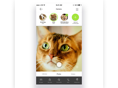 Pet related app interface camera