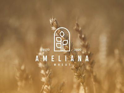 ameliana wheat brand branding company company logo design food food logo icon lettering line logo logo inspiration logo profesional logo tipo logo type logos vector wheat logo