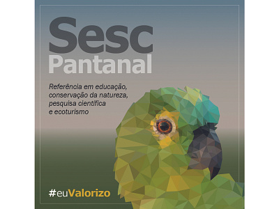 Sesc Pantanal #euValorizo illustration lowpoly vector