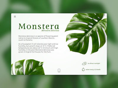 Landing page - Daily UI-Challenge 003 flora landing page monstera plant ui ux web