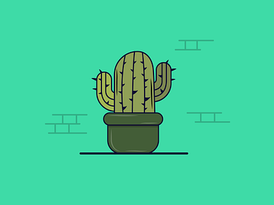 Cactus design graphic design illustration illustrator vector