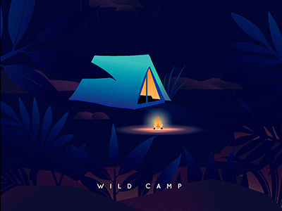 Wild camp illustration travel