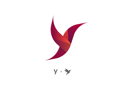 Y and Colibri Logo Concept bird branding corporate design gradient graphic design logo vector