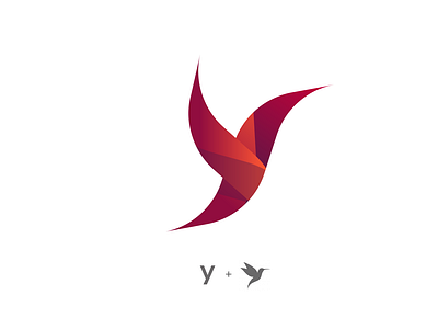 Y and Colibri Logo Concept