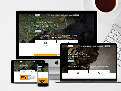 Pet Care Website design elementor mobile responsive modern design professional website responsive website ui web development wordpress website