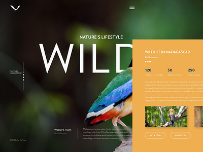 Landing Page For a Travel Company graphic design redesign ui uiuxdesign ux website
