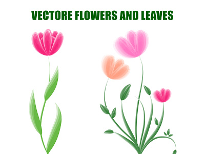 Vector Flowers & Leaves adobe illustrator graphic design illustrator vector flowers vector graphics