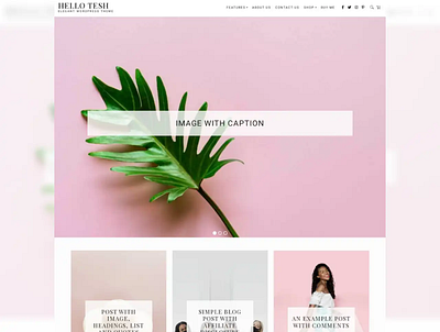 Tesh - Elegant Wordpress Theme chic design ecommerce feminine gutenberg pink web website design woocommerce wordpress wordpress design