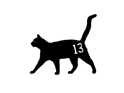 13th 13 black cat
