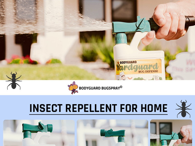 Buy Insect Repellent for Home by Bodyguard BugSpray on Dribbble