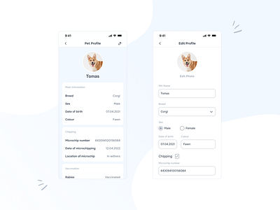 Pet Profile (Mobile App) / Daily UI 006 (User Profile) 006 app blue concept corgi creative dailyui design idea inspiration mobile pet profile profile user ui user profile ux