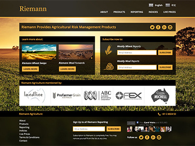 Layout Homepage - Riemann Website design layout responsive web web design