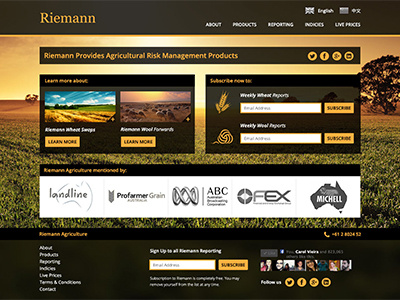 Layout Homepage - Riemann Website