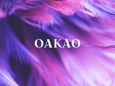 OAKAO Logo design branding identity logo vector