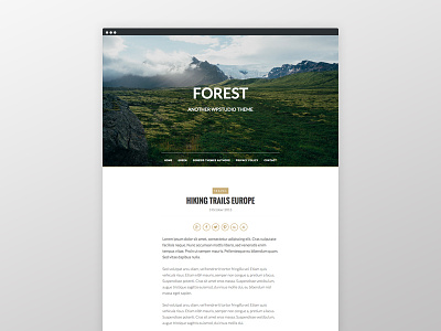 Forest Theme blog clean genesis framework responsive wordpress website