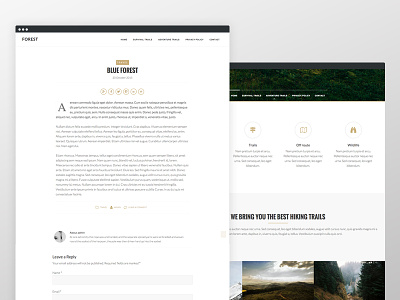 Forest Theme blog clean genesis framework responsive website wordpress
