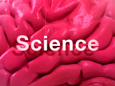 Science brain design fun illustration love rebound science