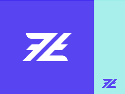 Z Logo Mark branding indentity logo mark z zf