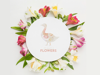 Freckled Duck Flowers apollostudio branding design illustration line art line logo logo minimalist logo
