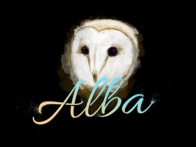 Tyto Alba illustration lettering owl wildlife