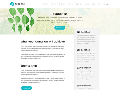 Non-profit website design web design