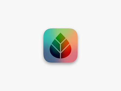 Realifechange App Icon