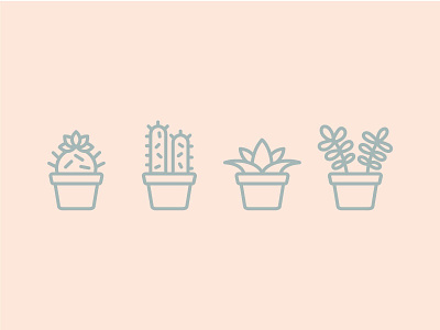 My Plants cactus icons illustrations plants succulents
