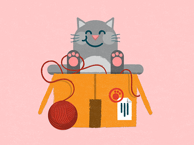 Kitten Cat box cat illustration kitten package vector wool