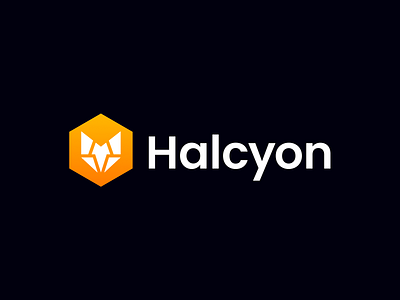 Halcyon Logo brand branding design graphic design icon identidad logo vector