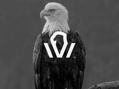 V + Eagle Logo brand branding design graphic design icon identidad logo razecdzn vector