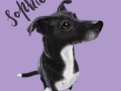 Sophie the dog bardot brush copic markers digital painting dog guache procreate
