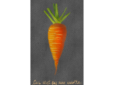 Ceci n'est pas une carotte carrot digital art digital painting french gouache orange procreate watercolor