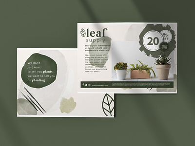 Leaf Supply Mailer branding design illustration logo mockup packaging typography