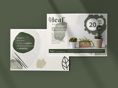 Leaf Supply Mailer