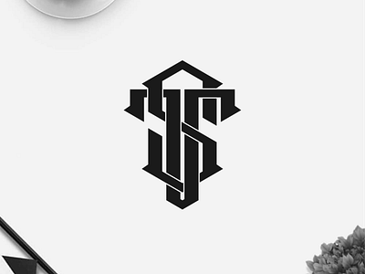 TS monogram for clothing branding design icon illustration lettering logo logo design logofolio logotype monogram symbol typography