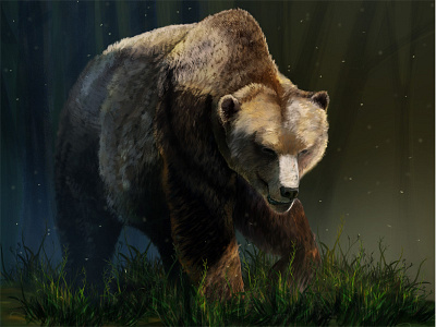 Debut Shot bear nature painting
